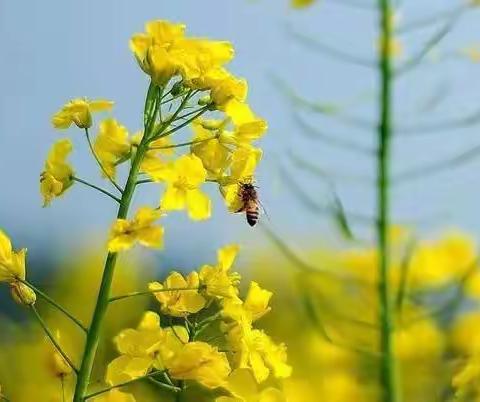 伟财幼儿园庆三八女神节“快乐女神，放飞快乐”亲子绘画活动