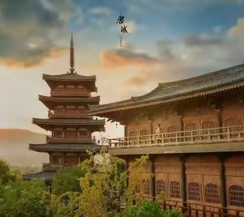 初冬逐梦，踏寻诗和远方