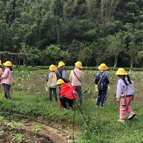 月亮家（9-10周）4.3~4.14回顾