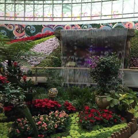 昆明｜云之南春城