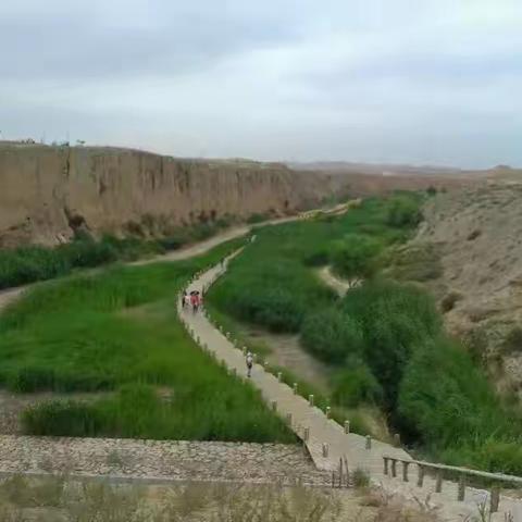 银川｜背靠大漠面朝绿洲