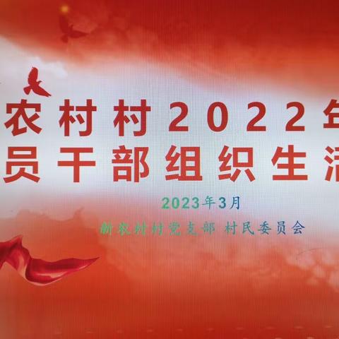 新农村村组织召开2023年度党员干部组织生活会