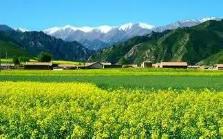 从祁连返回张掖途中