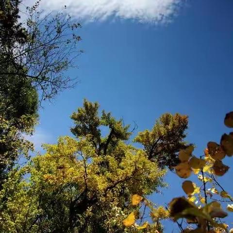【全环境立德树人】向阳光，怀梦想，筑美好人生