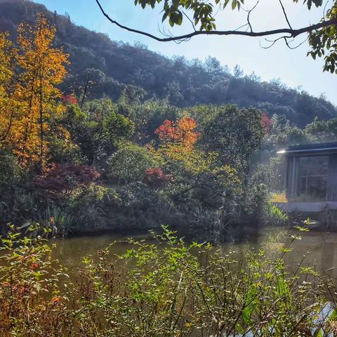 最美季节“郡安里”