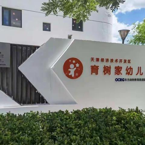 “童心飞扬，最美开学季”——育树家幼儿园大二班