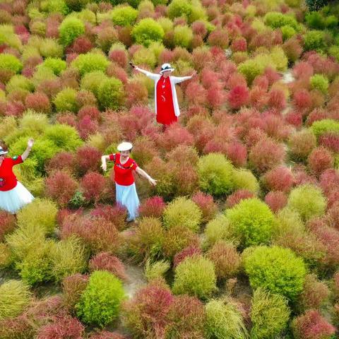 【浪漫之旅】二