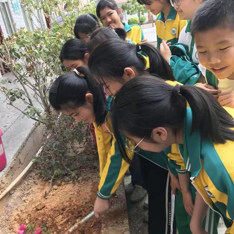 植树节!绿野逢春，心植美好!--五华县中心小学植树节美篇