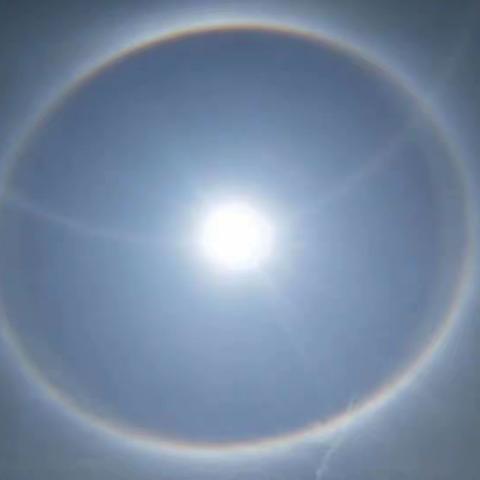 罗小白日照春空 迎接检查破寒冬