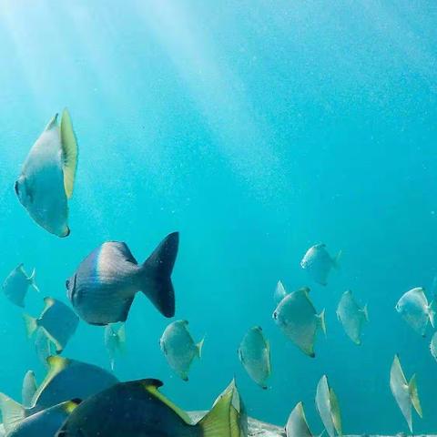 ♥东安河小学美术课来啦！！！！！♥♥