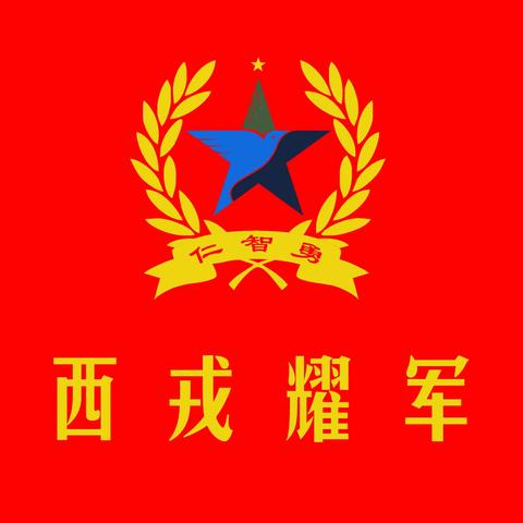 山西戎耀幼儿国防教育解说——“国防军体课”与“体适能课”的区别