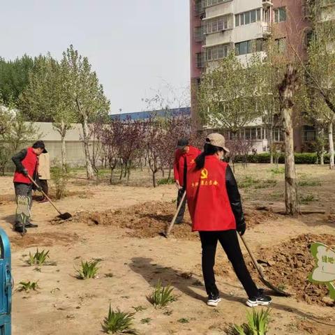 绿地认养，共建美丽社区