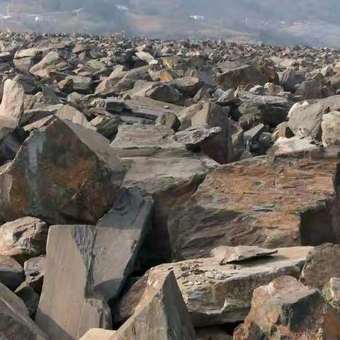 生我养我的地方