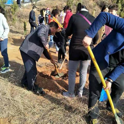 城关小学党支部开展“拥抱绿色”植树活动