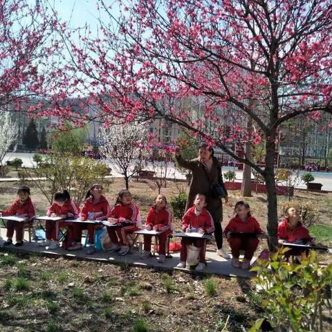 春景如画  硕果累累                                                  ————城关小学社团活动