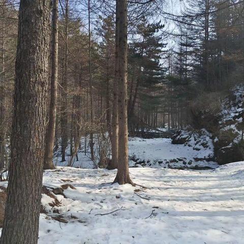 走进雪山分水岭赏雪景和天桥湖景观！