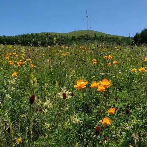 夏季追逐梦想！2019.7