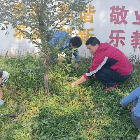 雍家小学2017级2022年3月劳育之美