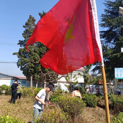 2022年3月10日，雍家小学2016级（六年级）在班主任余保坤老师的带领下，为学校的绿化做了打整……👍👍👍