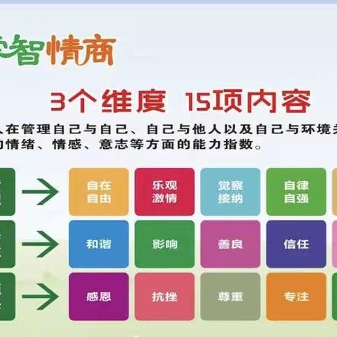 睿智情商ALAG61营1Q上《温泉小镇和神秘的触觉》