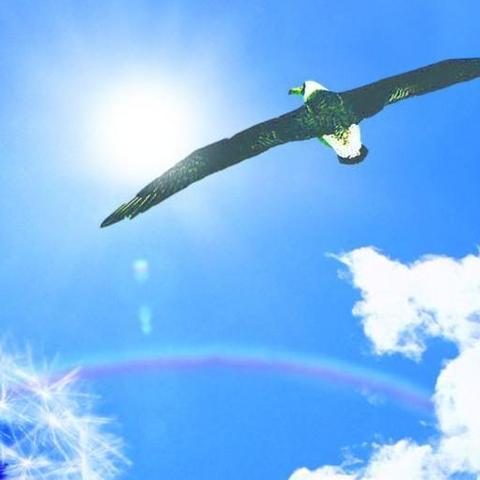 荷角初露试牛刀精心汇报 百卉竞芳立潮头引领示范