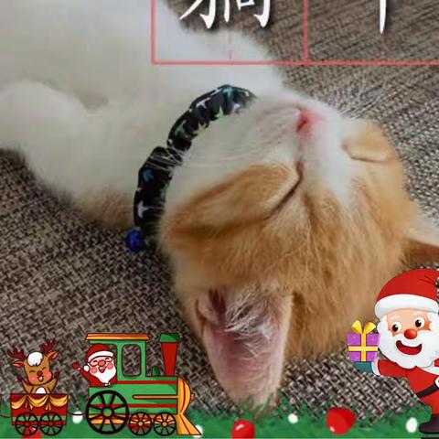 还在“战场”上的我们🎎（2022平安夜🎄）