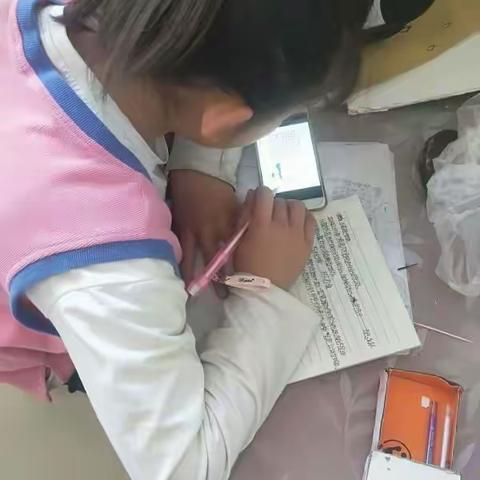 如何提高学生学习科学的兴趣——迷城乡科学课教研活动