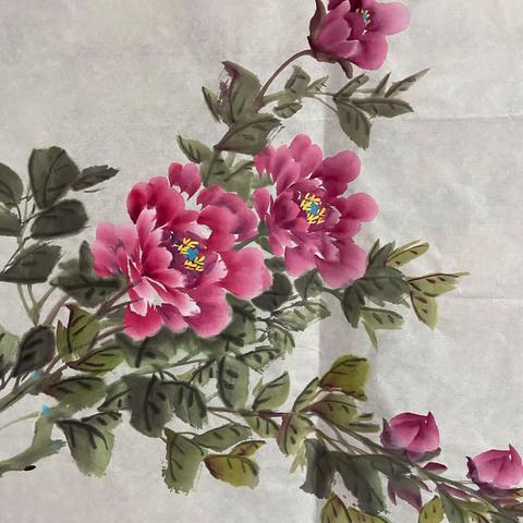 国画写意牡丹