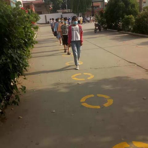 小寨镇小学，六年级的“神兽们”归来啦