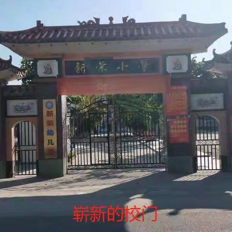 新荣小学”硬笔“书法比赛