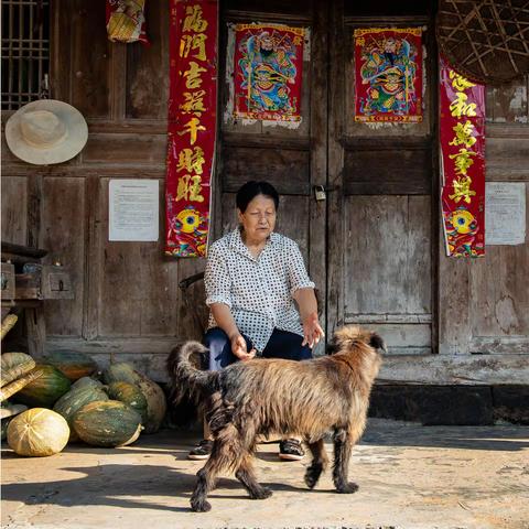 乡间采风见闻