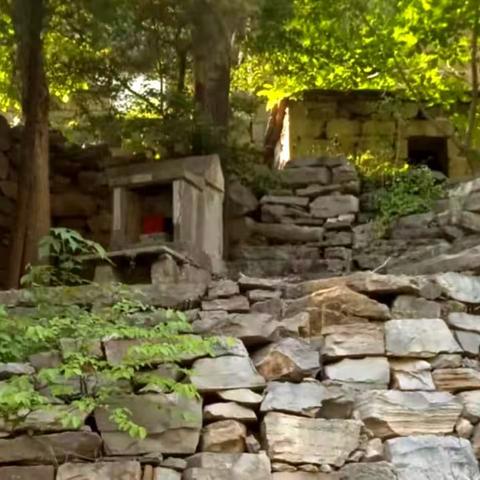 林州五龙:大山深处的一个长寿家族