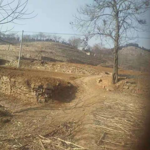 黄团长被害于林州五龙合脉掌