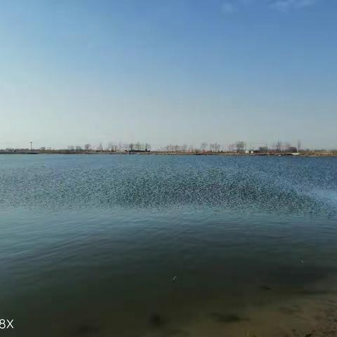 邱县农业农村局千方百计保春灌