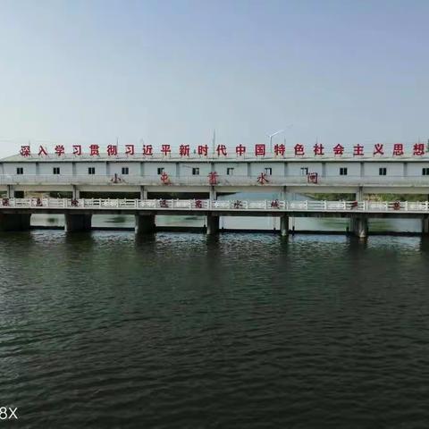 防患在先，筑牢防线|邱县农业农村局开展汛前水利工程排查整治