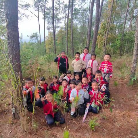 弄星小学思婷班