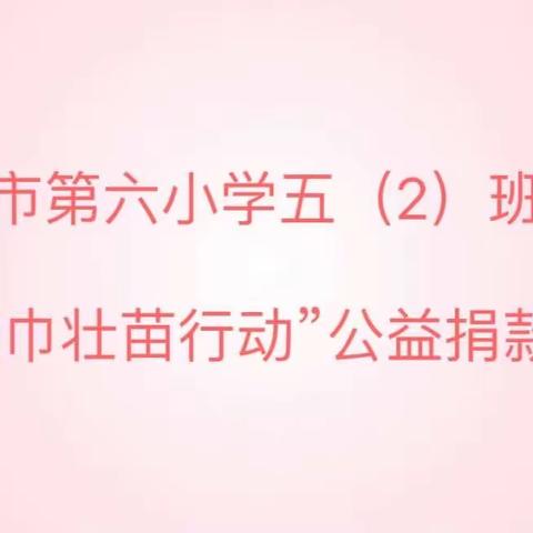 平果市第六小学五（2）班开展“红领巾壮苗行动”公益捐款活动