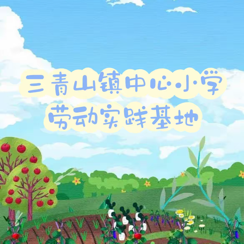 三青山镇中心小学“劳动教育实践基地”春耕纪实