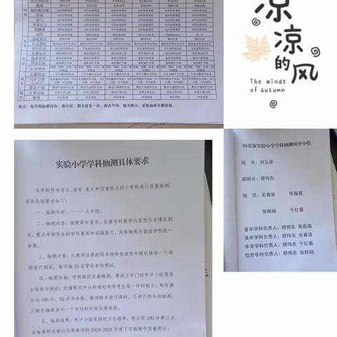 让艺术之花扎根——实验小学音体美学科抽测纪实