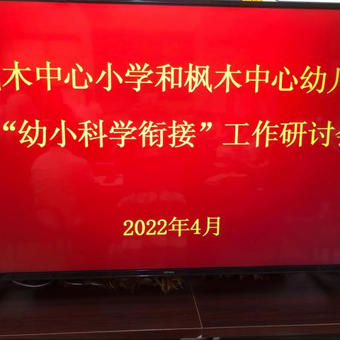 双向互动、教育合力——枫木镇中心幼儿园同枫木镇中心小学开展“幼小科学衔接”研讨会