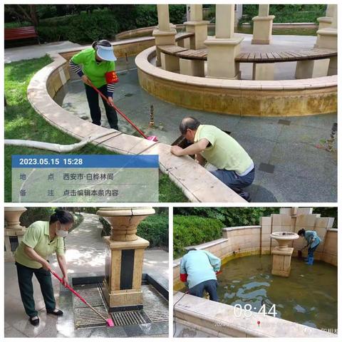 白桦林间5月15日工作简报