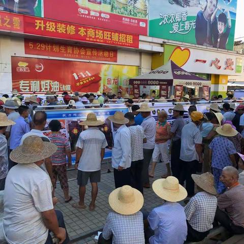 临高县扫黑除恶成果巡回展活动在加来农场举办