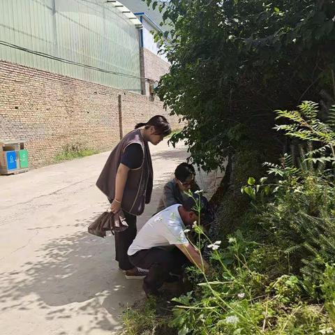 爱卫办联合疾控中心对城乡结合部病煤生物防控工作进行督导检查