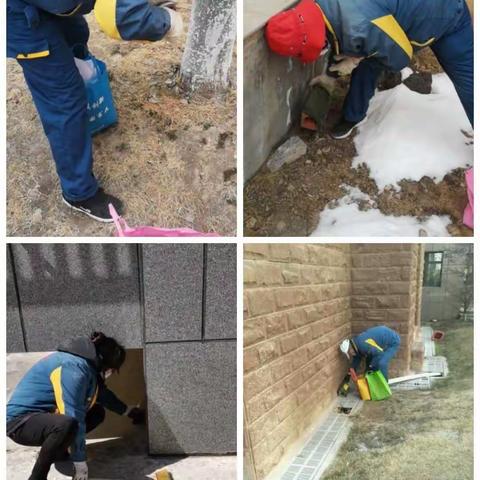 2020年春季灭鼠投药工作启动