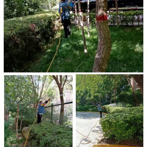 小区蚊蝇防制自查整改工作