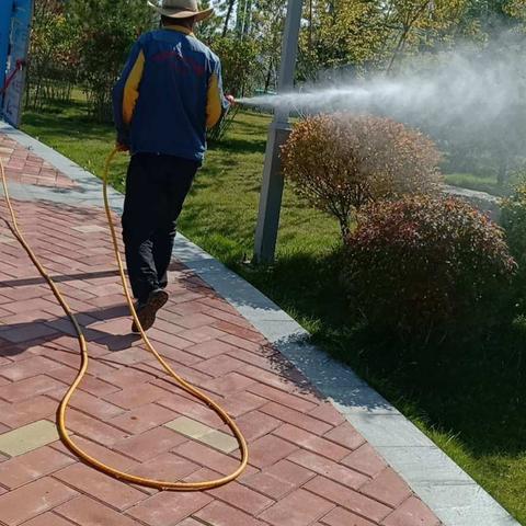 加强蚊蝇防控，预防疾病传播