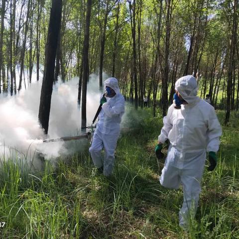 持续开展城西区新城区病媒生物防制自查工作