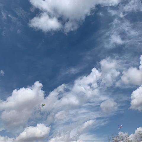 “童心向党❤️筝飞梦想 ”【小清华幼儿园风筝节】🪁