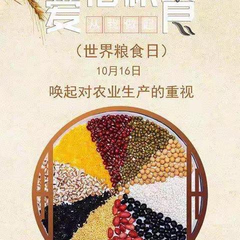 爱粮节粮,你我“童”行——桃花公立幼儿园开展爱惜粮食主题活动