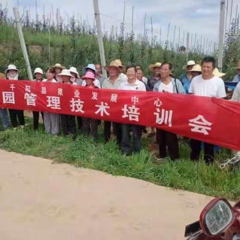 顶着烈日抓培训   果园夏管不放松